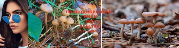 MESCALINE Абинск