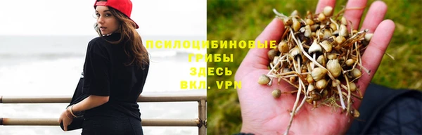 ALPHA-PVP Алексин