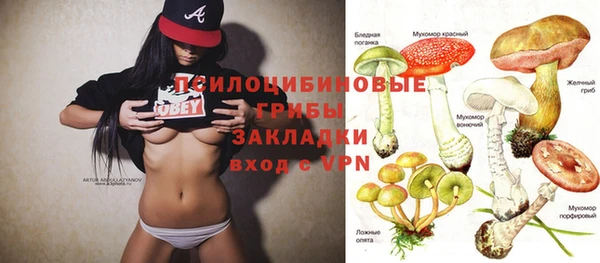 ПСИЛОЦИБИНОВЫЕ ГРИБЫ Алзамай