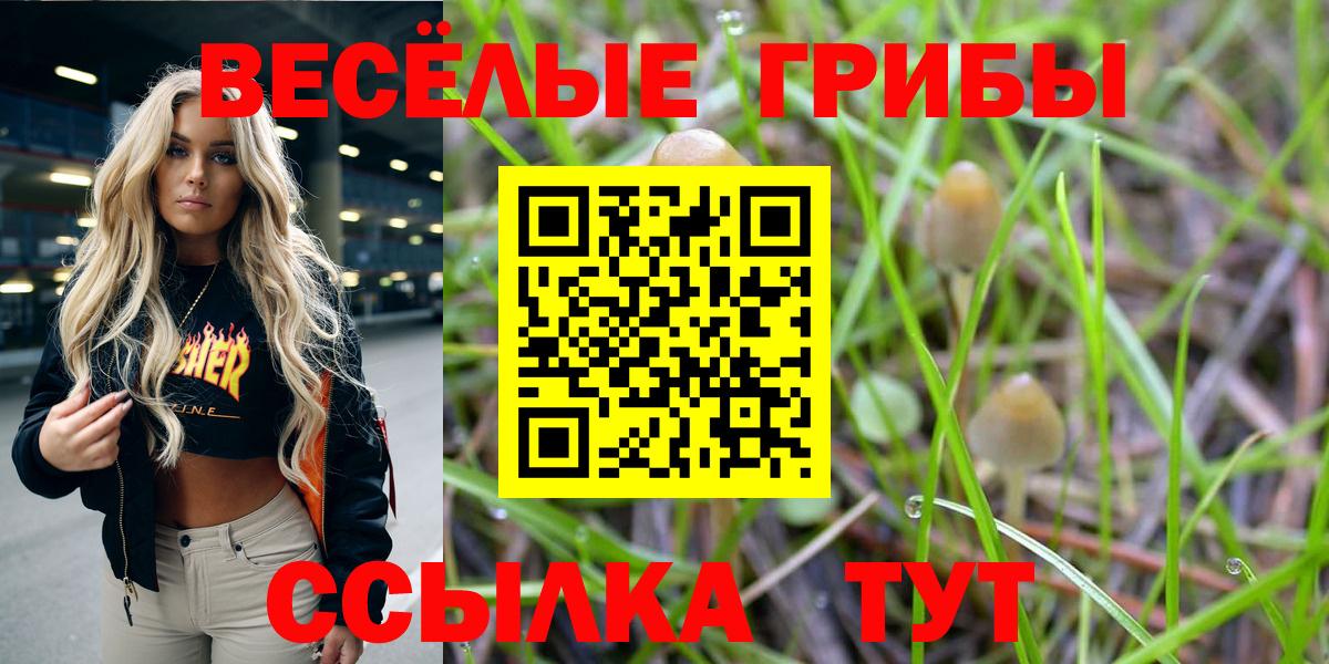 Псилоцибиновые грибы GOLDEN TEACHER  купить наркотик  Златоуст  Вход с VPN  Псилоцибиновые грибы Psilocybine cubensis 